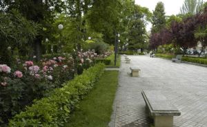 alameda-de-capuchinos-2