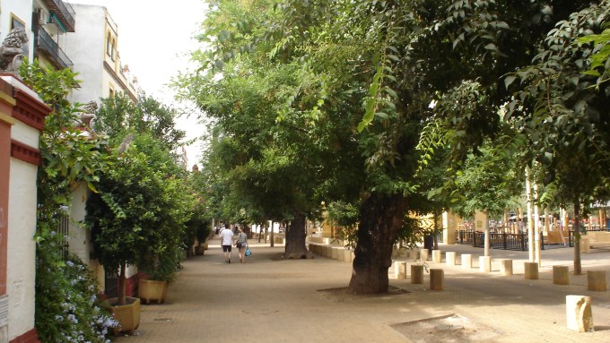 alameda-de-hercules-b