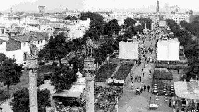 alameda-de-hercules-cines-de-verano