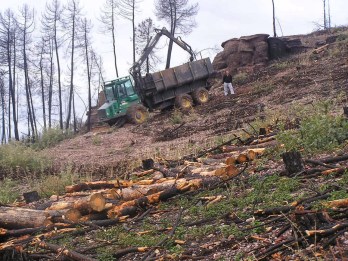 aprovechamientos-sacapv4t