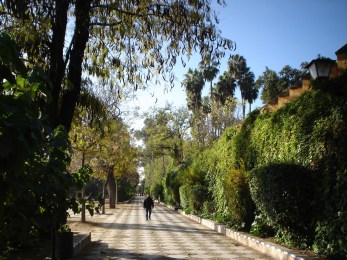 catalina-de-ribera-1