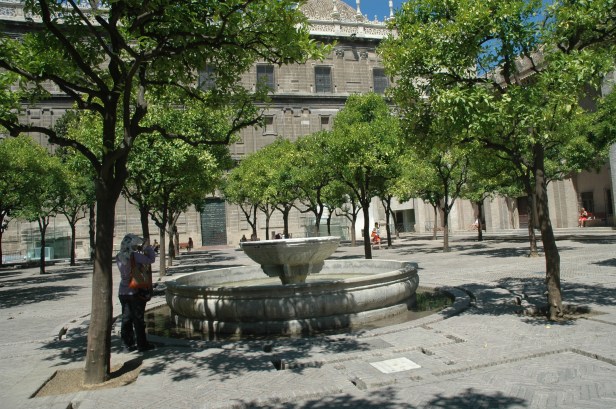 catedral-patio-de-los-naranjos-m