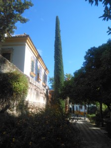 cipres-jardines-de-murillo