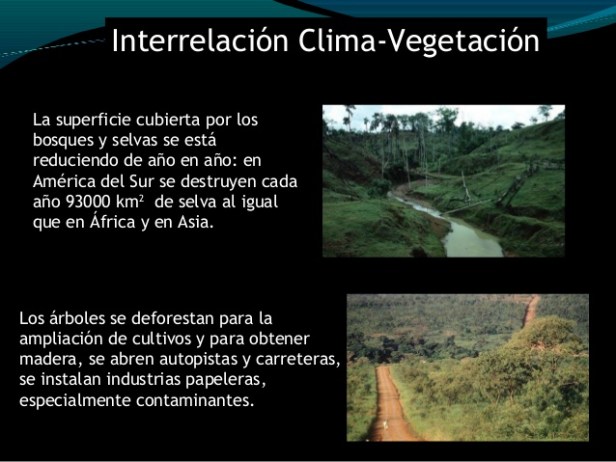 clima-conversatorio-bosques-para-el-buen-vivir-maracay-estado-aragua-venezuela-28-638