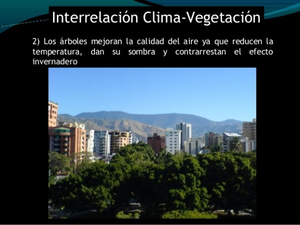 clima-conversatorio-bosques-para-el-buen-vivir-maracay-estado-aragua-venezuela-39-638