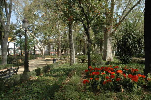 cristina-clivias-024