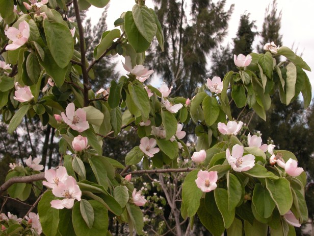 Nombre de archivo : DSCN0057.JPG Tamaño de archivo : 1.4 MB (1476546 Bytes) Fecha de entrega : 2003/03/30 14:44:36 Tamaño de imagen : 2560 x 1920 píxeles Resolución : 300 x 300 ppp Profundidad del color : 8 bits/canal Atributo Protección : Desactivado Atributo Ocultar : Desactivado ID de la cámara : N/A Cámara : E5700 Modo Calidad : N/A Modo Medición : Multipatrón Modo Exposición : Automático Programado Speed Light : Sí Distancia Focal : 14.7 mm Velocidad del disparador : 1/242.2 segundo Abertura : F5.6 Compensación de exposición : 0 EV Balance del blanco fijo : N/A Objetivo : N/A Modo de sincronización del flash : N/A Diferencia de exposición : N/A Programa Flexible : N/A Sensibilidad : N/A Nitidez : N/A Tipo de imagen : Color Modo de color : N/A Ajuste de tono : N/A Control de saturación : N/A Compensación de tono : N/A Latitud (GPS) : N/A Longitud (GPS) : N/A Altitud (GPS) : N/A