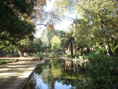 estanque-de-los-lotos-1