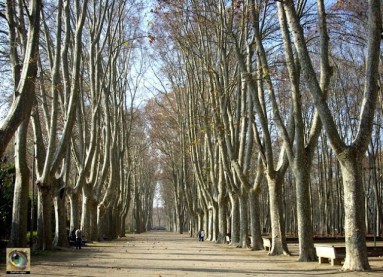 girona-la-devesa-la_devesa_girona_2010