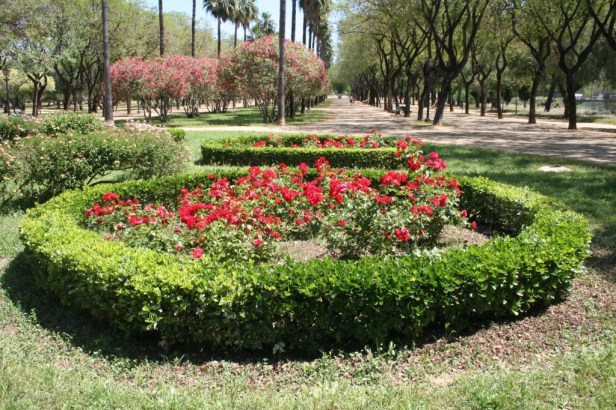 i-3-glorieta-ceritos-seto-bonetero-rosales-x1024