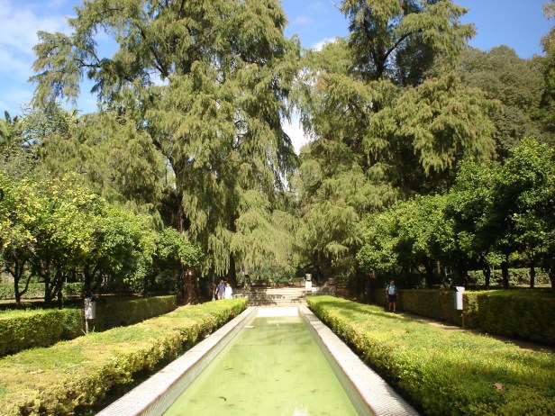 jardin-de-los-leones-fy