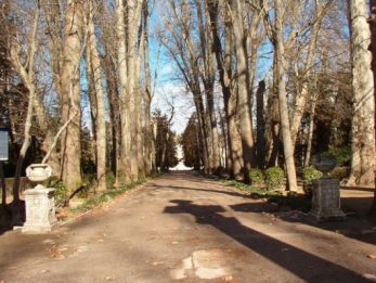 jardin-del-principe-10