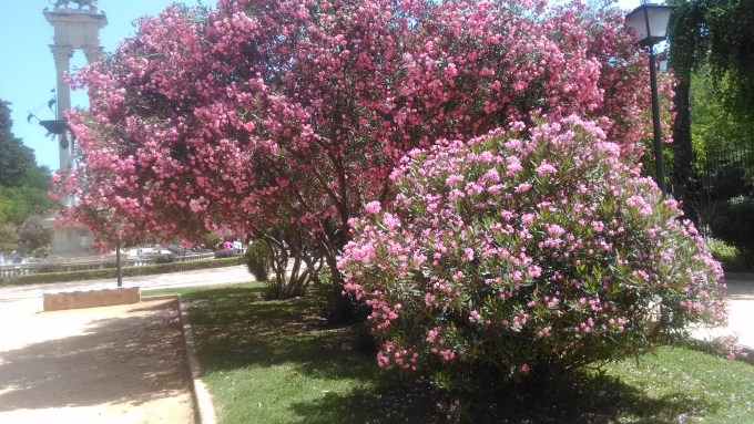 jardines-de-catalina-de-ribera-julio-2016-088