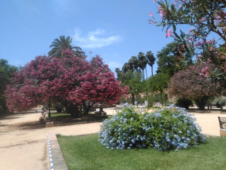 jardines-de-catalina-de-ribera-julio-2016-092