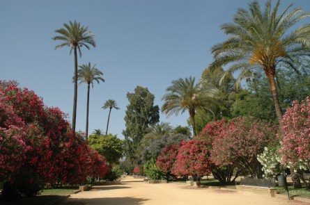 jardines-de-catalina-de-rivera-y-murillo-037