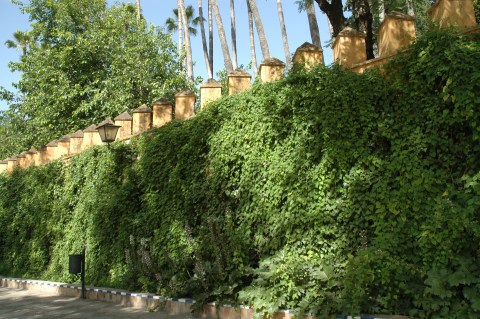 jardines-de-catalina-de-rivera-y-murillo-038