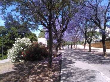 jardines-de-chapina-08