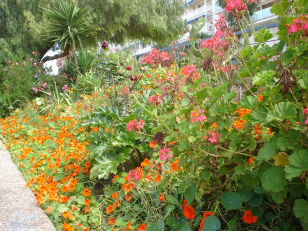 jardines-de-chapina-2015-antes-de-su-desaparicion