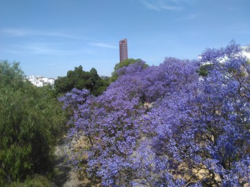 jardines-de-chapina-905