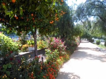 jardines-de-chapina-ad