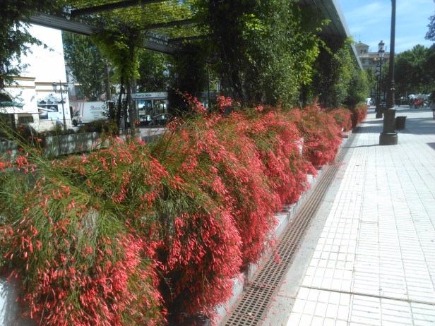 jardines-de-cristina-h841