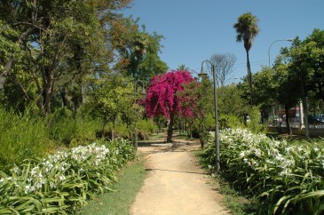 jardines-de-las-delicias-03-2