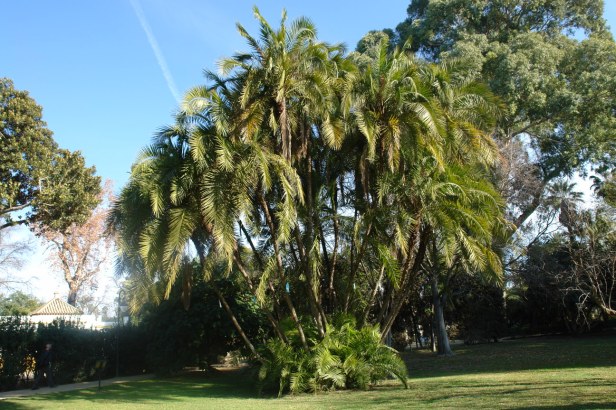 jardines-de-las-delicias-12-15-011