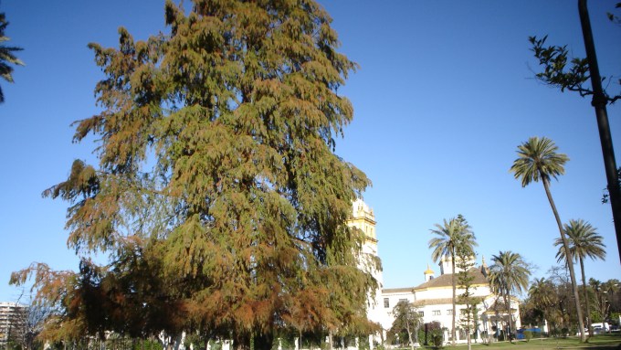 jardines-de-las-delicias-2-2