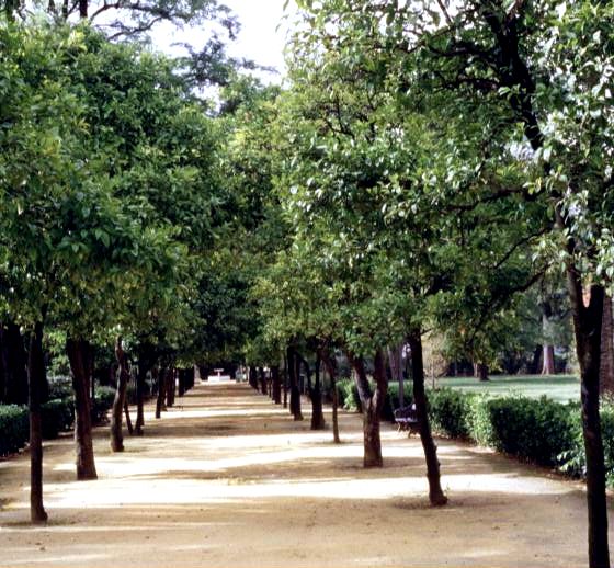 jardines-de-las-delicias-paseo-de-naranjos-2