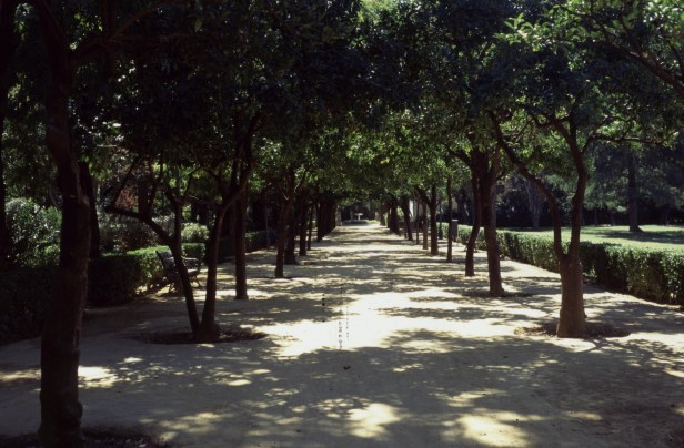 jardines-de-las-delicias-paseo-de-naranjos