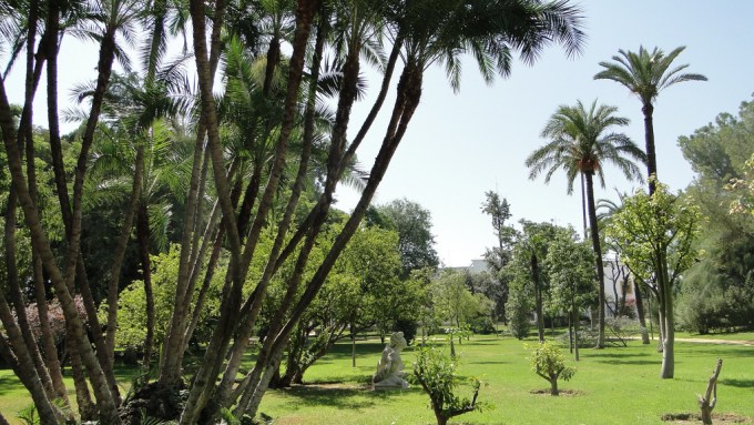 jardines-de-las-delicias-phoenix-reclinata