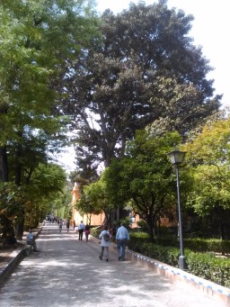 jardines-de-murillo-040
