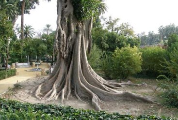 jardines-de-murillo-klparques-sevilla