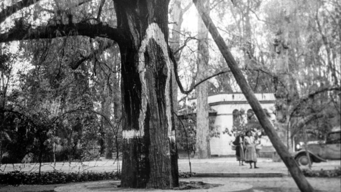 jardines-de-san-telmo-ku-2