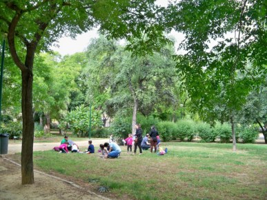 los-alumnos-del-colegio-manuel-canela-describiendo-el-alcornoque