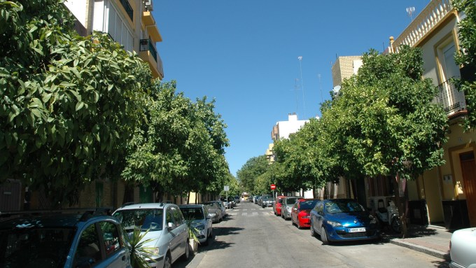 naranjos-en-nervion-julio-2016-061