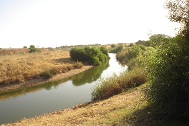 nous-parcs-parque-del-tamarguillo-arroyo-004-2