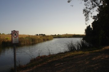 nous-parcs-parque-del-tamarguillo-arroyo-014-2