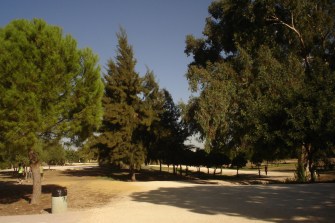 nous-parcs-parque-del-tamarguillo-casuarinas-047