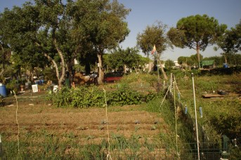 nous-parcs-parque-del-tamarguillo-huertos-familiares-039