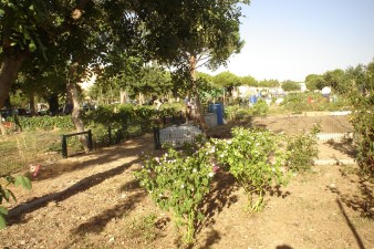 nous-parcs-parque-del-tamarguillo-huertos-familiares-040-2