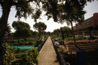 nous-parcs-parque-del-tamarguillo-huertos-familiares-057-2