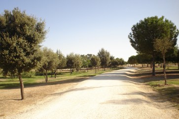 nous-parcs-parque-del-tamarguillo-paseos-037-2