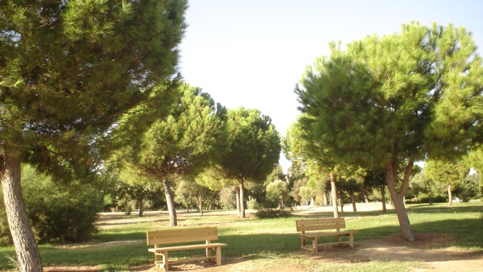 nous-parcs-parque-del-tamarguillo-pinus-008-2