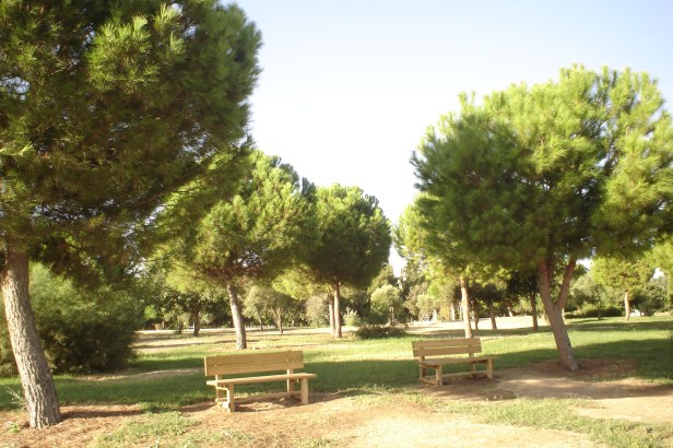 nous-parcs-parque-del-tamarguillo-pinus-008-2