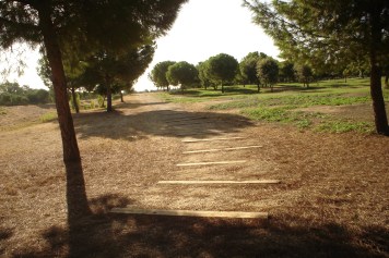 nous-parcs-parque-del-tamarguillo-sendas-031