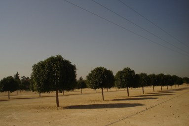 nous-parcs-parque-riberas-del-guadaira-090