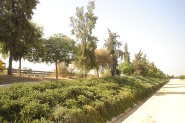 nous-parcs-parque-riberas-del-guadaira-093-2