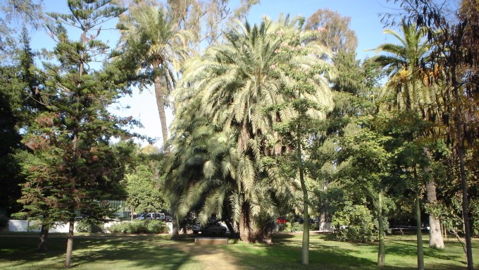 parque-banco-de-la-viuda