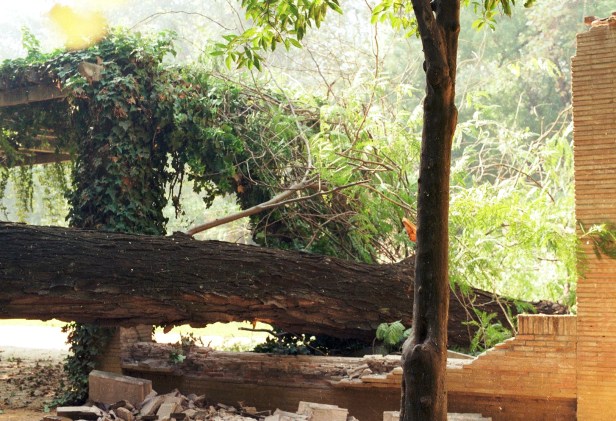 parque-caida-de-arbol-sobre-pergola-a2